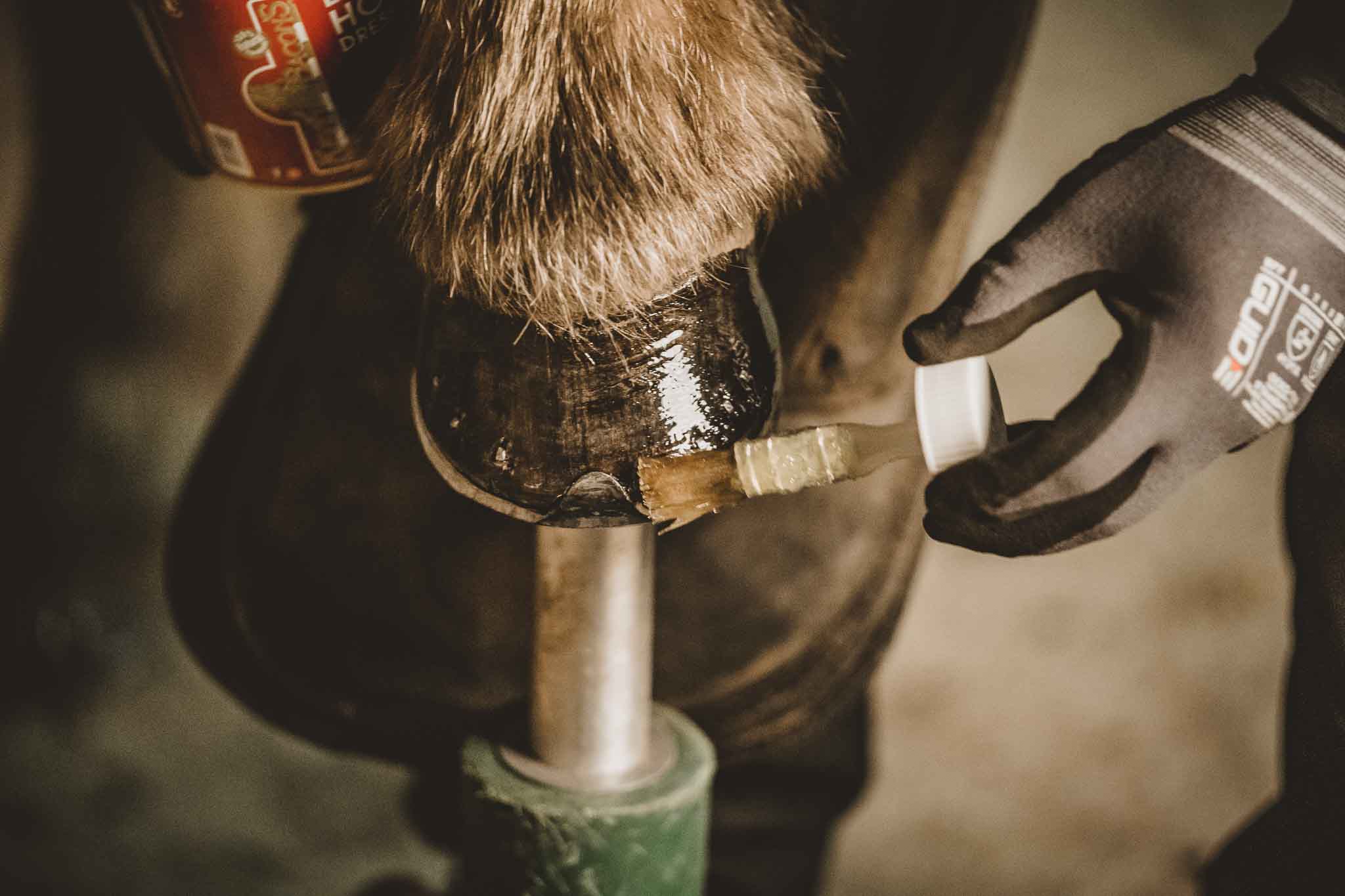 Fynn-Rohlfshagen_Hufschmied_Huf-veredeln