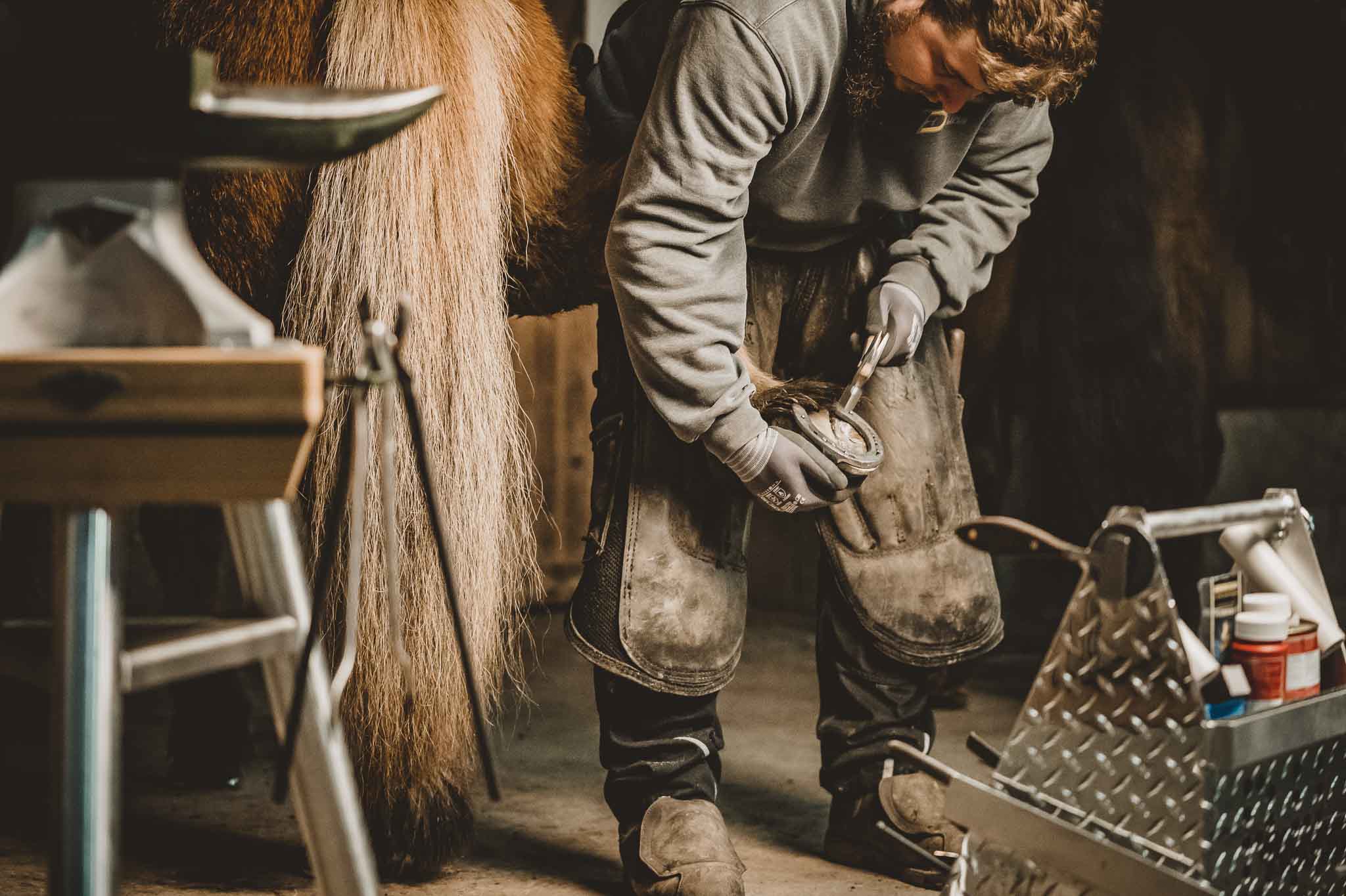 Fynn-Rohlfshagen_Hufschmied_Nageln